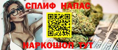 прущие крисы Гатчина
