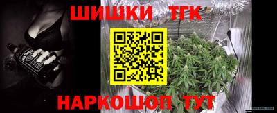 гидра Гагарин