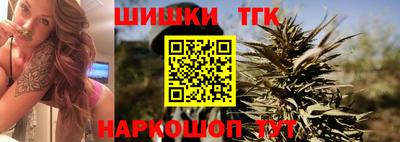 прущие крисы Гатчина